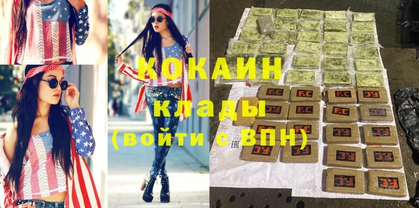 гидра Козловка