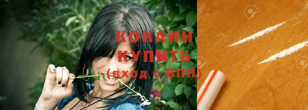 гидра Козловка