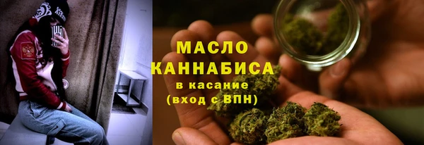 гидра Козловка