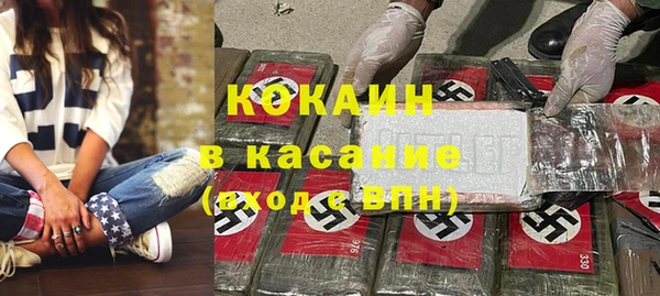 гидра Козловка