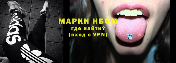гидра Козловка