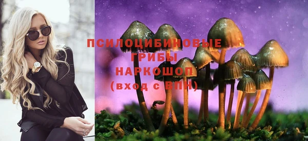 первитин Кодинск