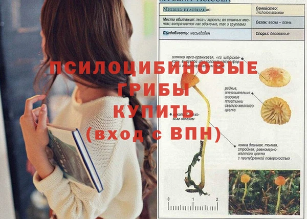 гидра Козловка
